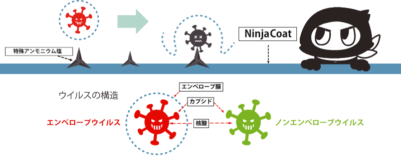 ウイルスE(エンベロープあり)に対する、抗ウイルスメカニズム